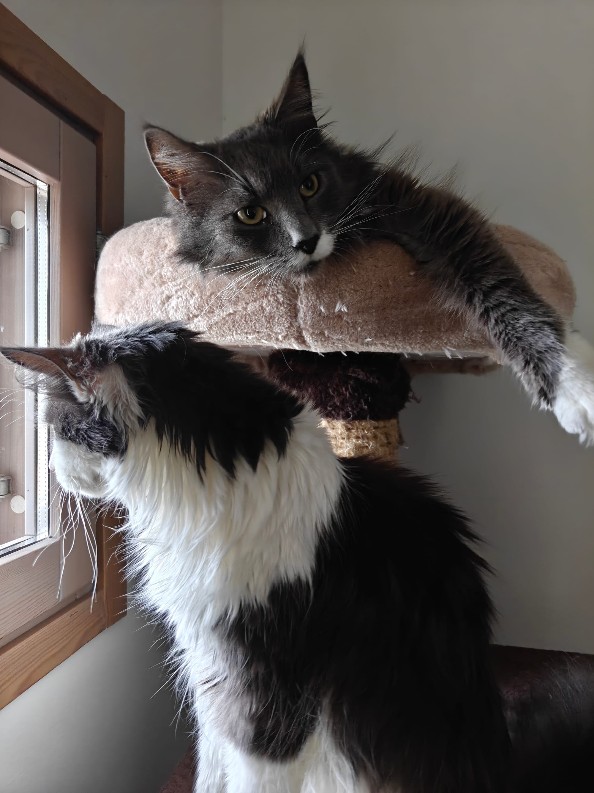 OnePlus 15 review – A stellar flagship with the best battery life ever seen on a phone