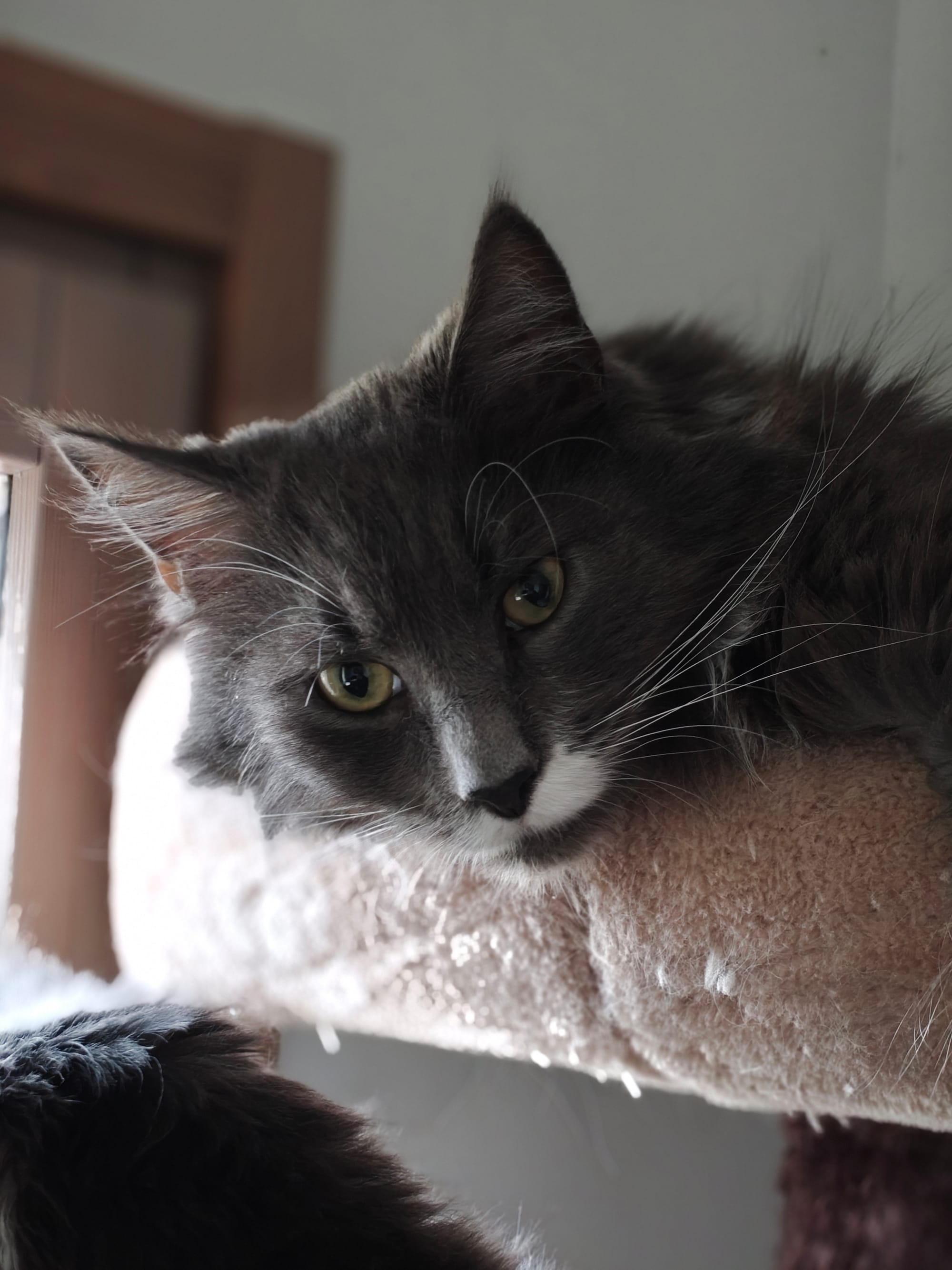 OnePlus 15 review – A stellar flagship with the best battery life ever seen on a phone